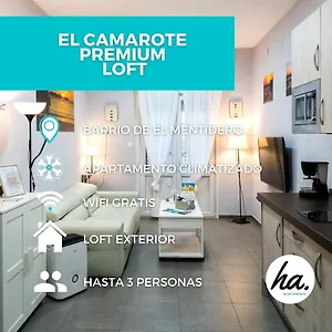 El Camarote Ha Loft Cádiz
